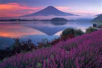 yɂzg[XgtvoЂƂ藷ɂXX(*^^*)