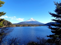 【素泊まり】富士山・富士五湖・富士Q☆レジャーも仕事も迷ったらコレ！いつでも入れる大浴場あり♪