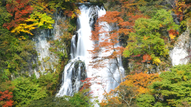 霧降の滝②16：9
