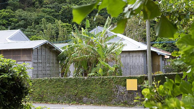 ＜リリーの家＞周辺の風景