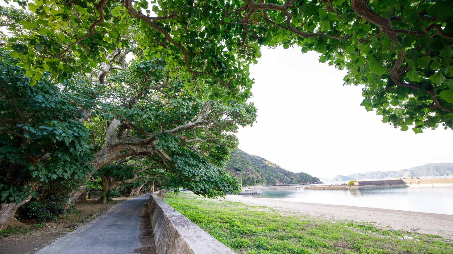 ＜リリーの家＞周辺の風景