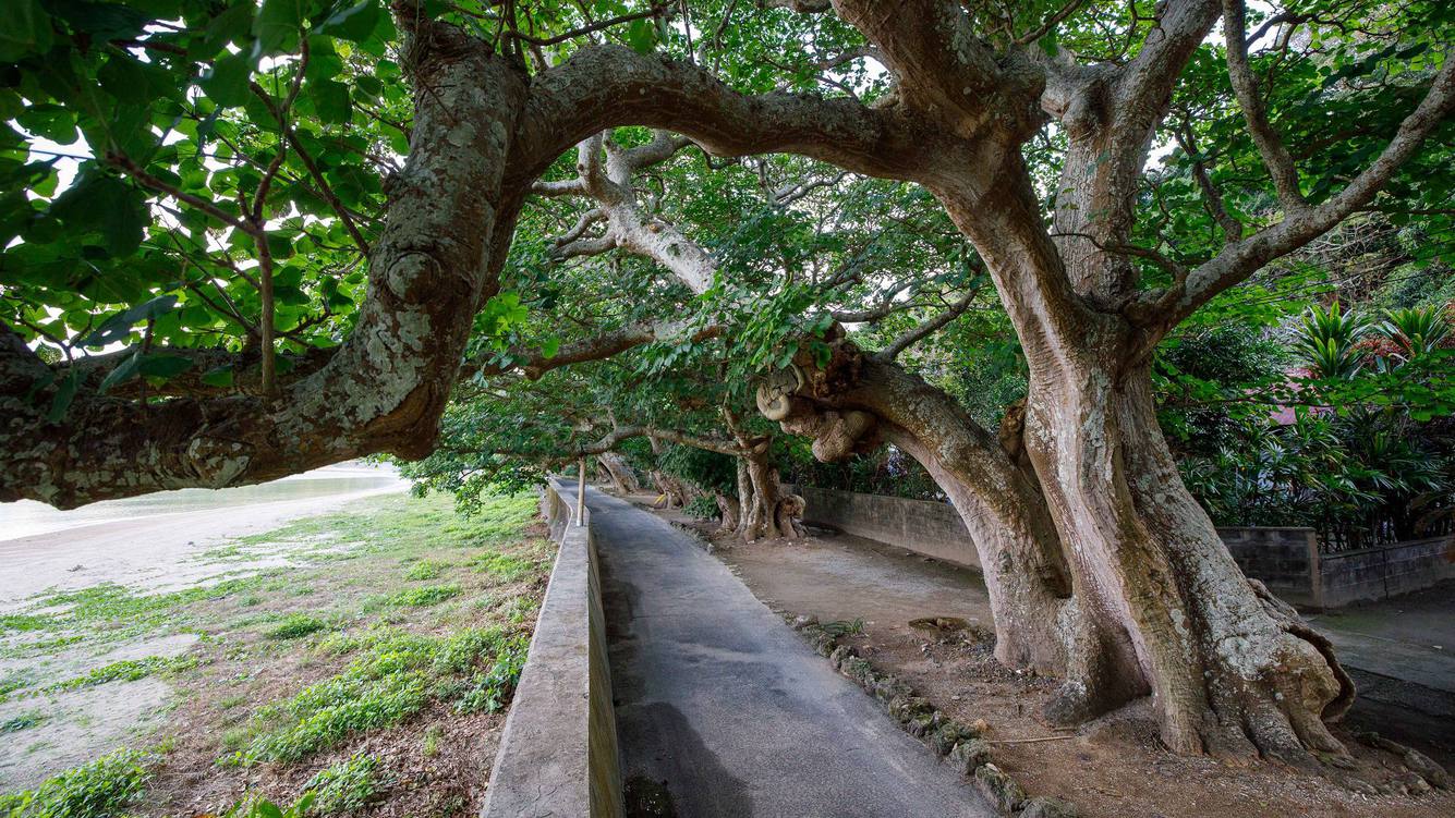 ＜リリーの家＞周辺の風景