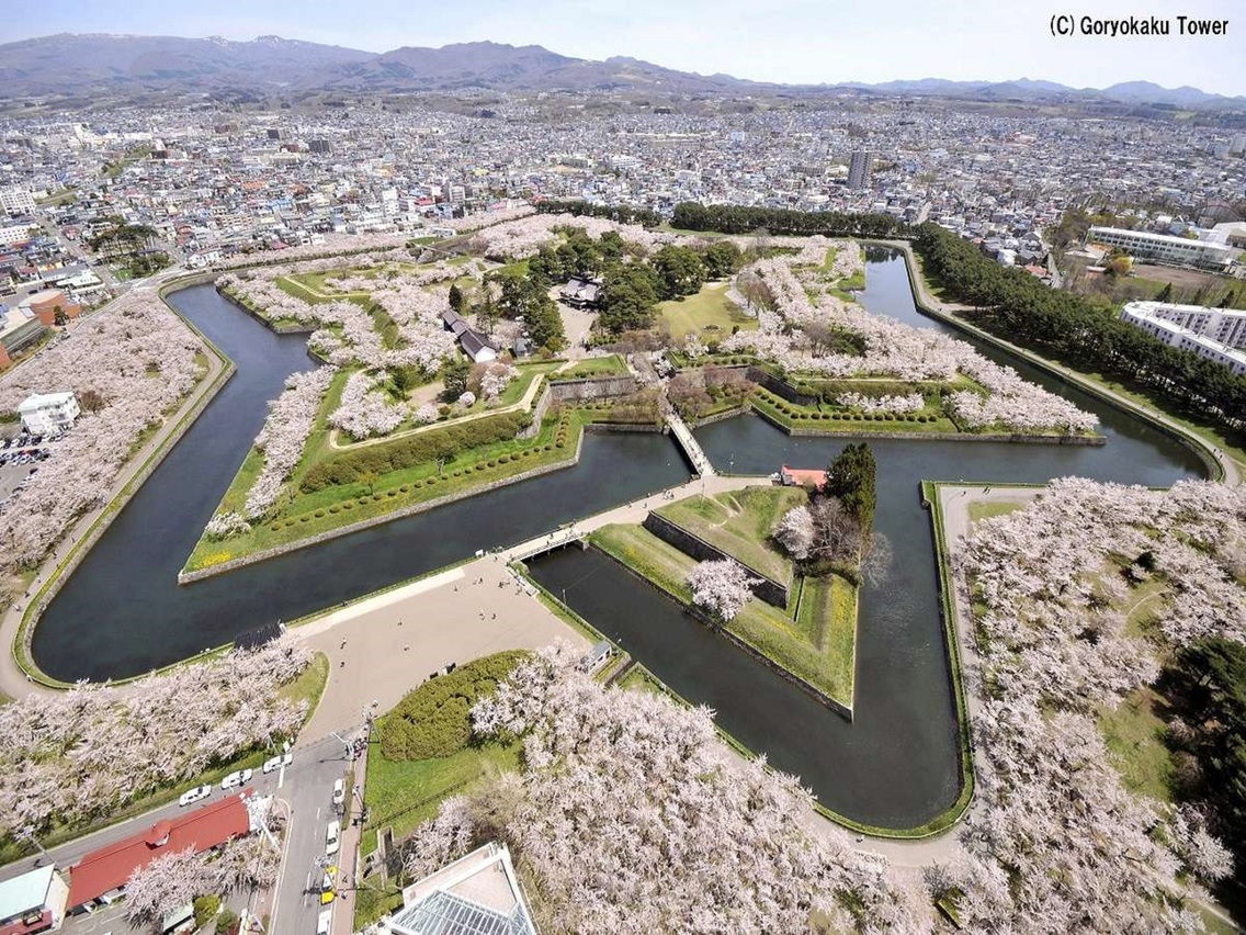 【五稜郭公園】車で15分