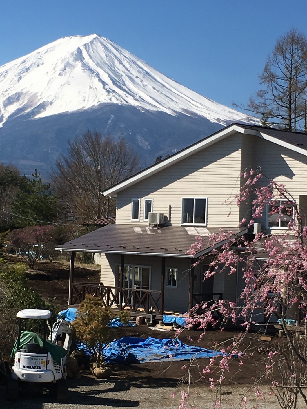 ？棟と富士山