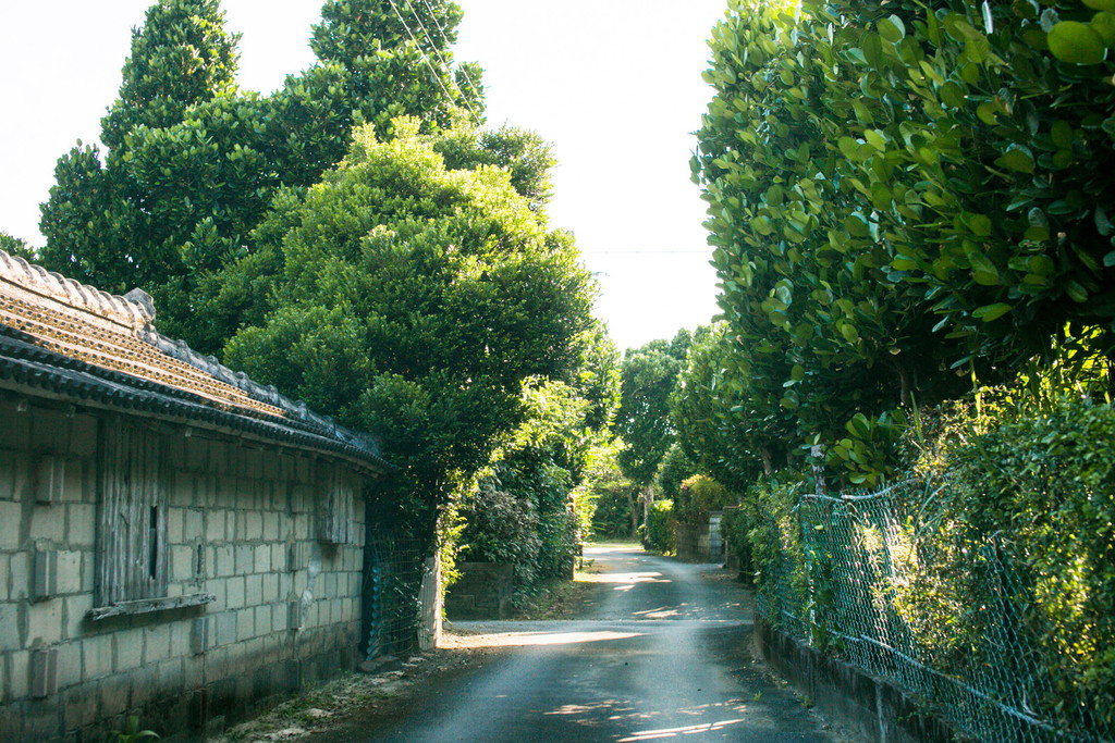 近隣の風景