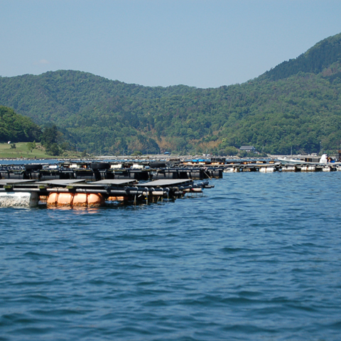 This photo about Kumihama no Yado Takaura shared on HyHotel.com