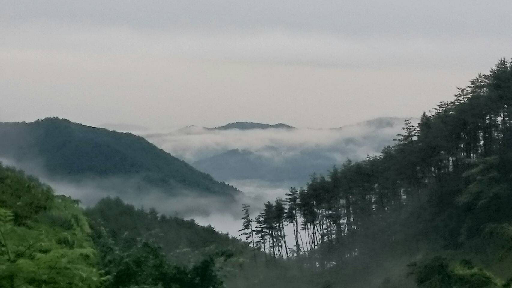 雲海