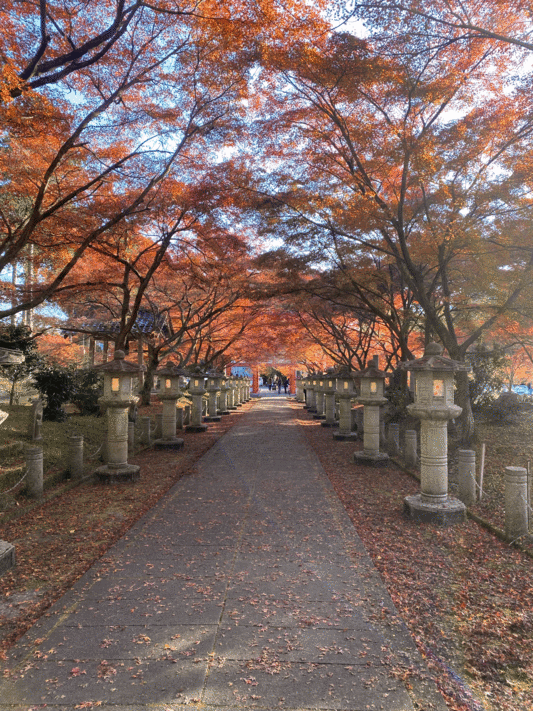 高山寺