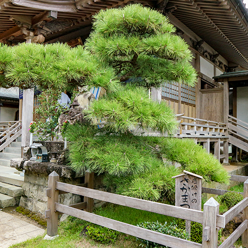 This photo about Onsenzan Anrakuji Yakushi no Sato shared on HyHotel.com