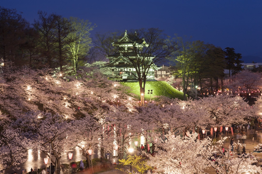 Takada Castle Cherry blossom 高田城観桜会