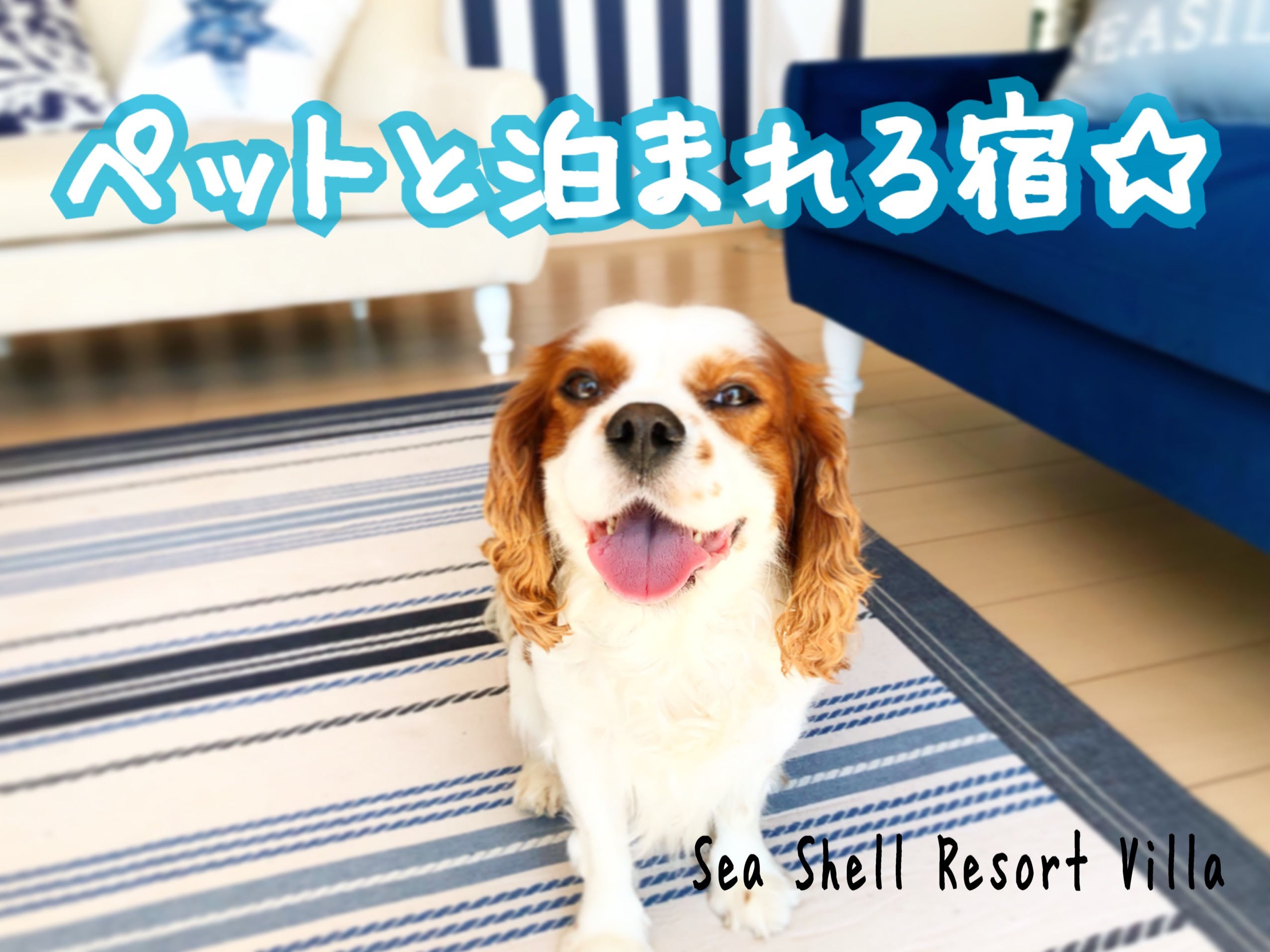 sea shell vacation house