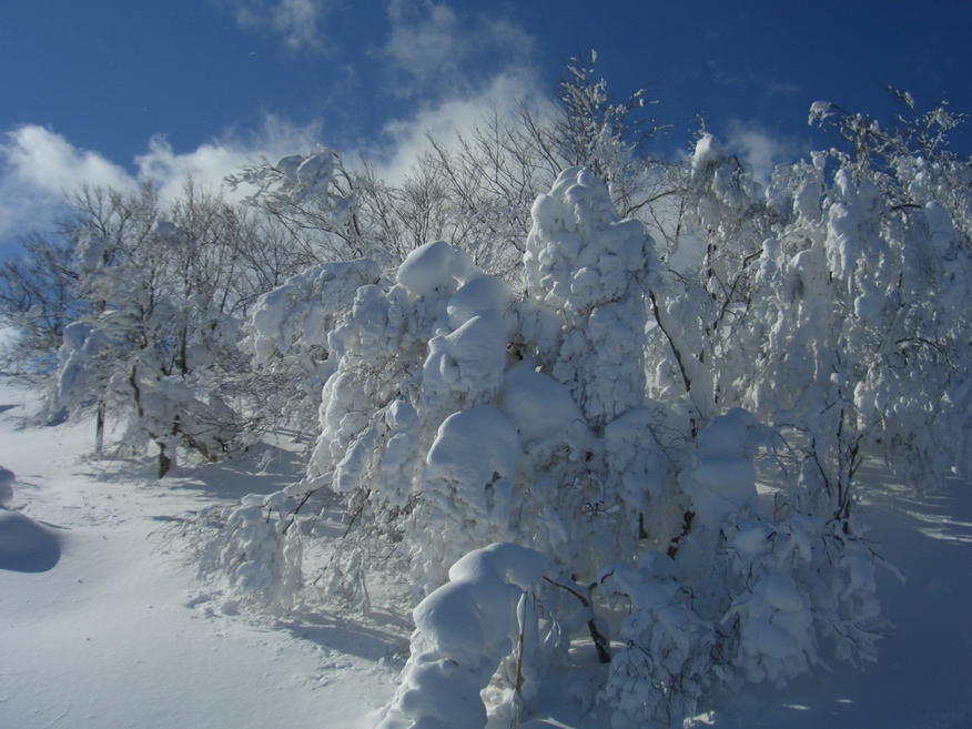 冬のスキー場(西岳)