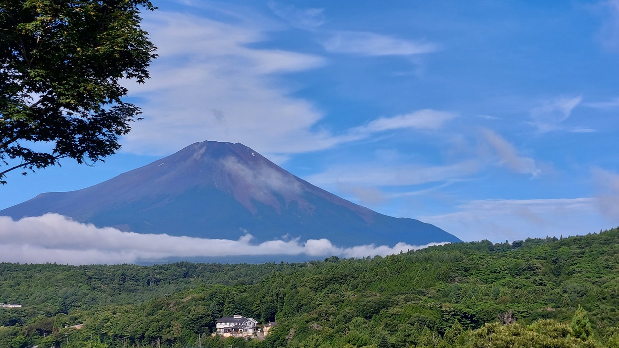 *富士山／お部屋からはもちろん、お食事会場からもお風呂からも、ダイナミックの富士山をのぞめます！