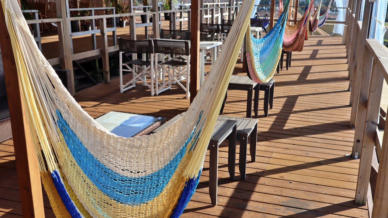 新ハンモック