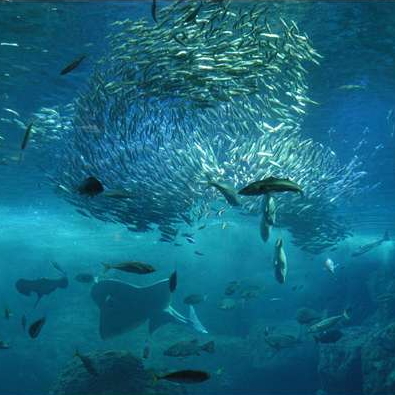 This photo about Diamond Kamakura Bettei Society shared on HyHotel.com