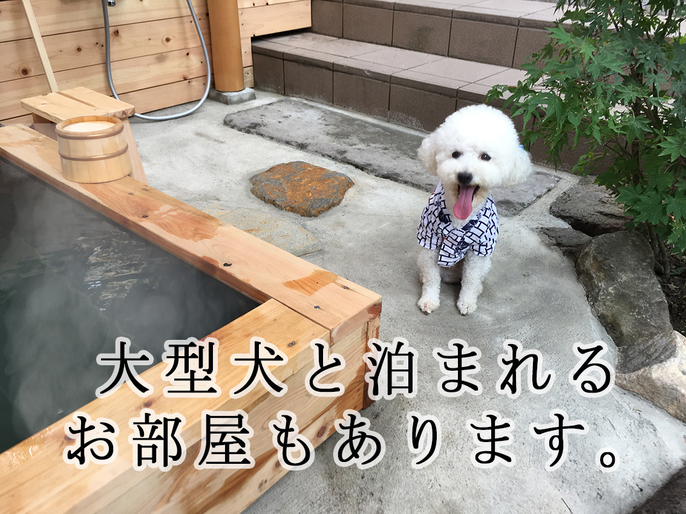 大型犬と泊まれるお部屋もあります。