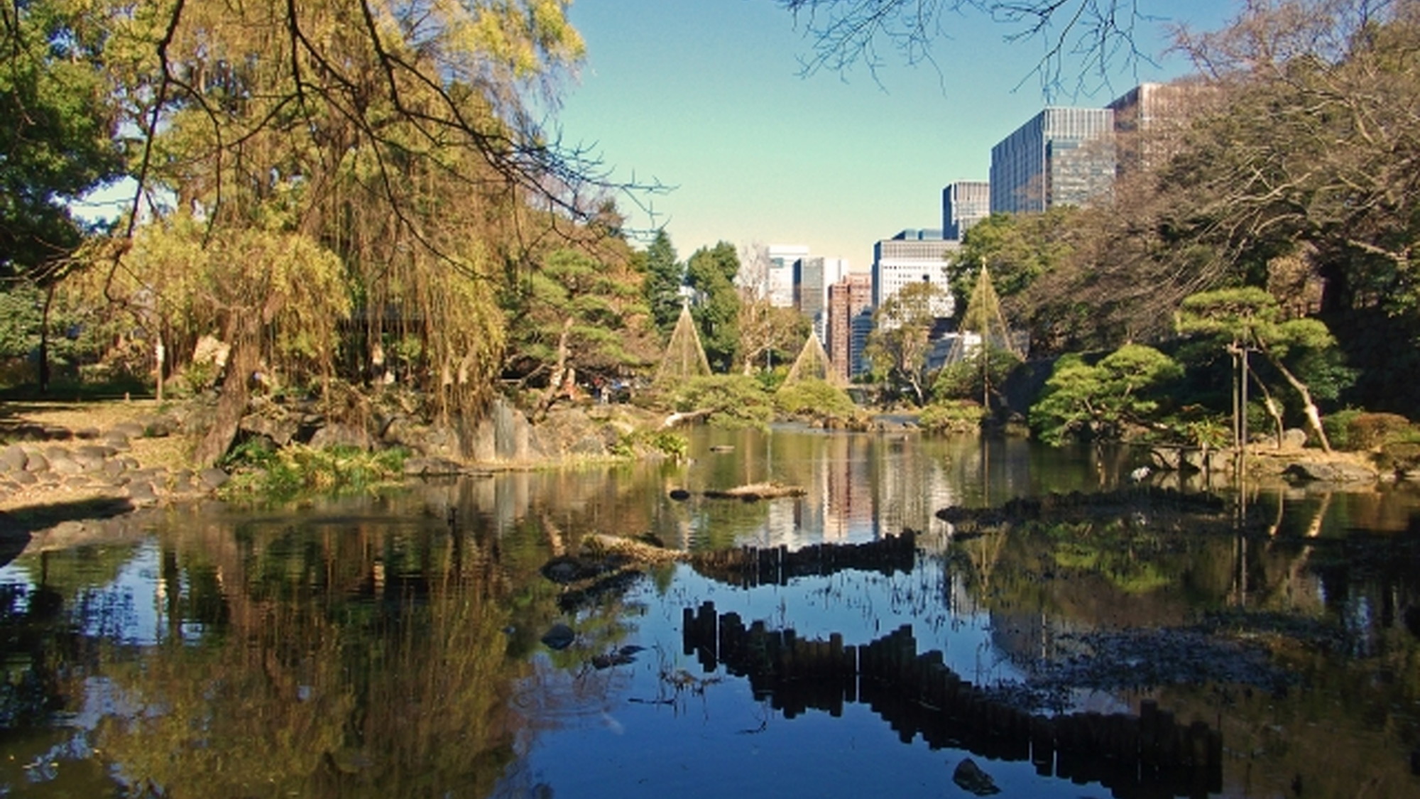 日比谷公園当館から約13分(日比谷線)