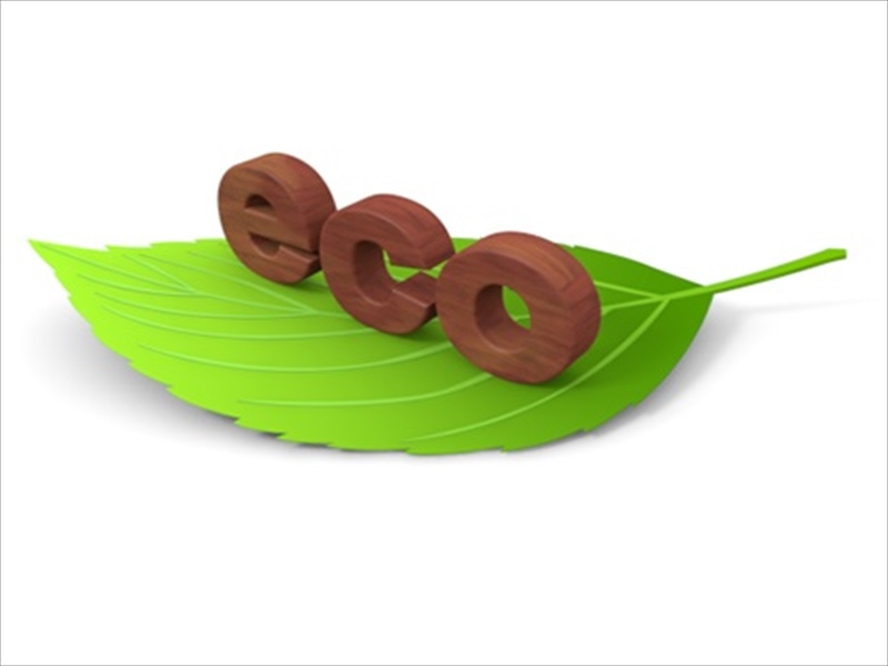 Toyota Prestige Hotel Image 3, Toyota, Japan