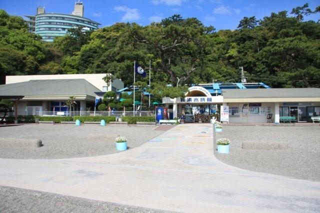 桂浜水族館