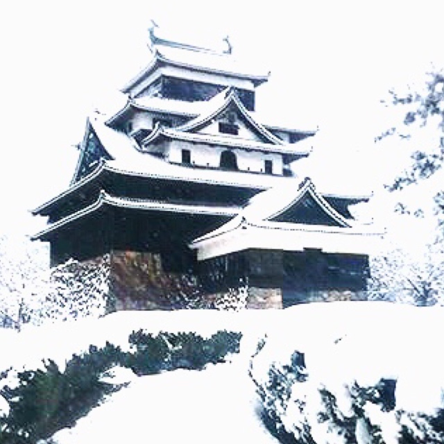 国宝松江城冬