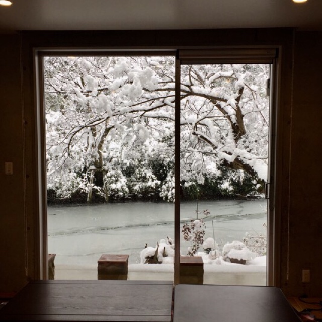 窓から見える雪景色