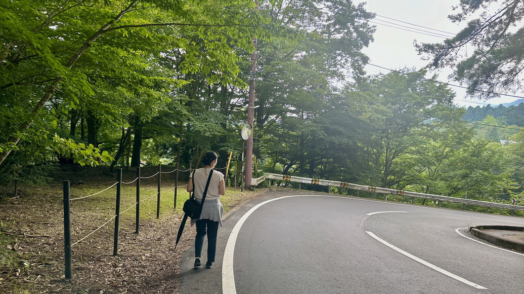 ホテルから東照宮まで徒歩10〜15分程。 豊かな自然を眺めながら、歩いて行ける距離となっております。