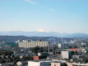和室よりの富士山