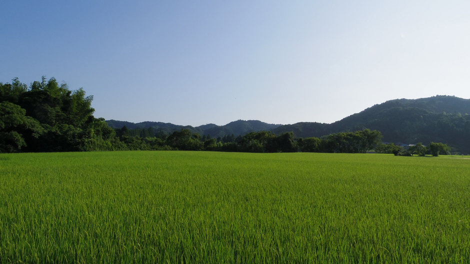 田園風景