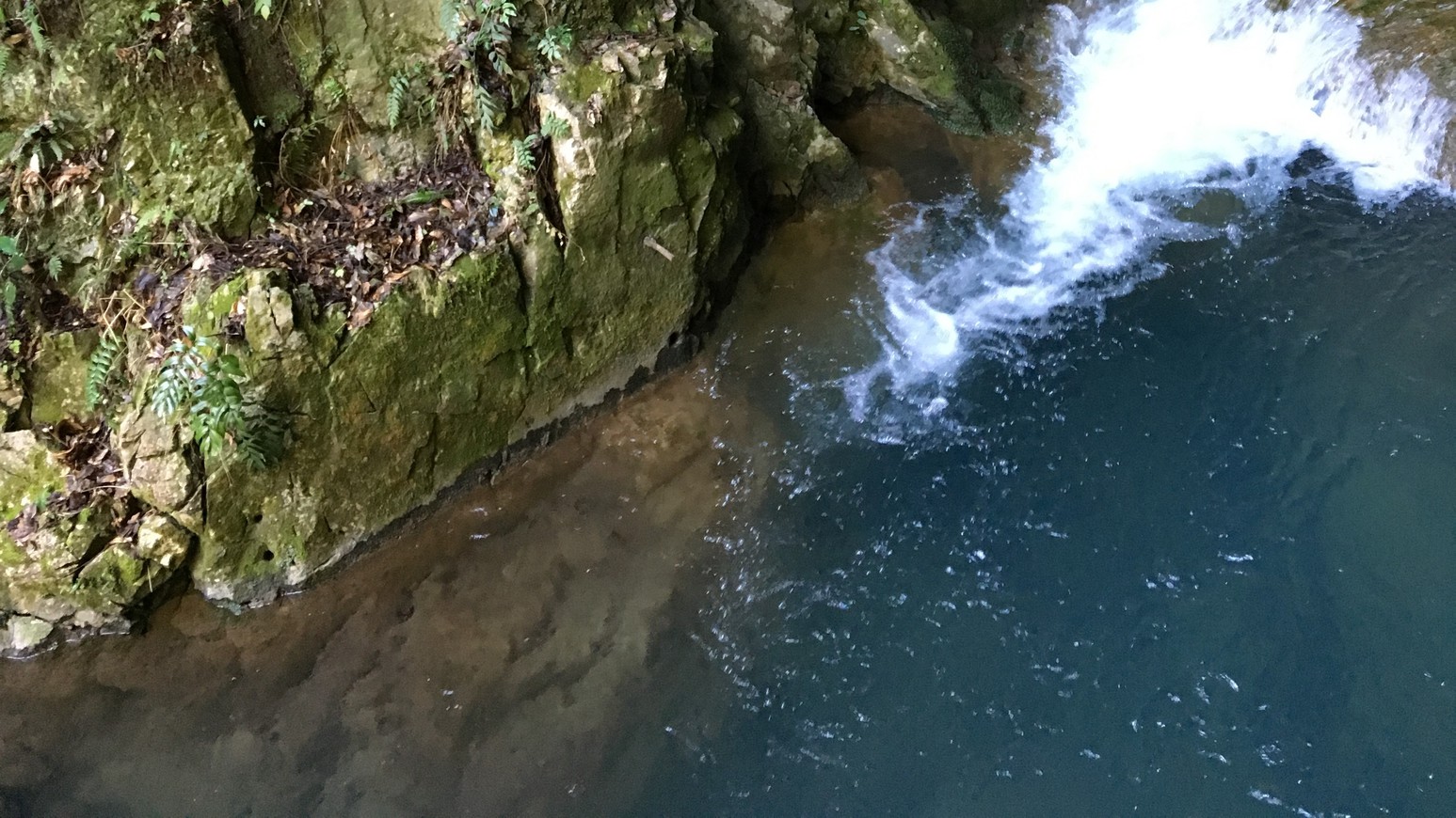観光秋芳洞岩と湧水