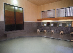 Tazawako Kogen Onsen Tazawakogen Hotel Stop at Tazawako Kogen Onsen Tazawakogen Hotel to discover the wonders of Semboku. Both business travelers and tourists can enjoy the propertys facilities and services. Facilities like newspapers, sh