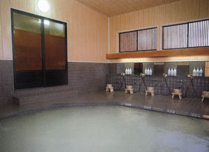 Tazawako Kogen Onsen Tazawakogen Hotel Ambiance