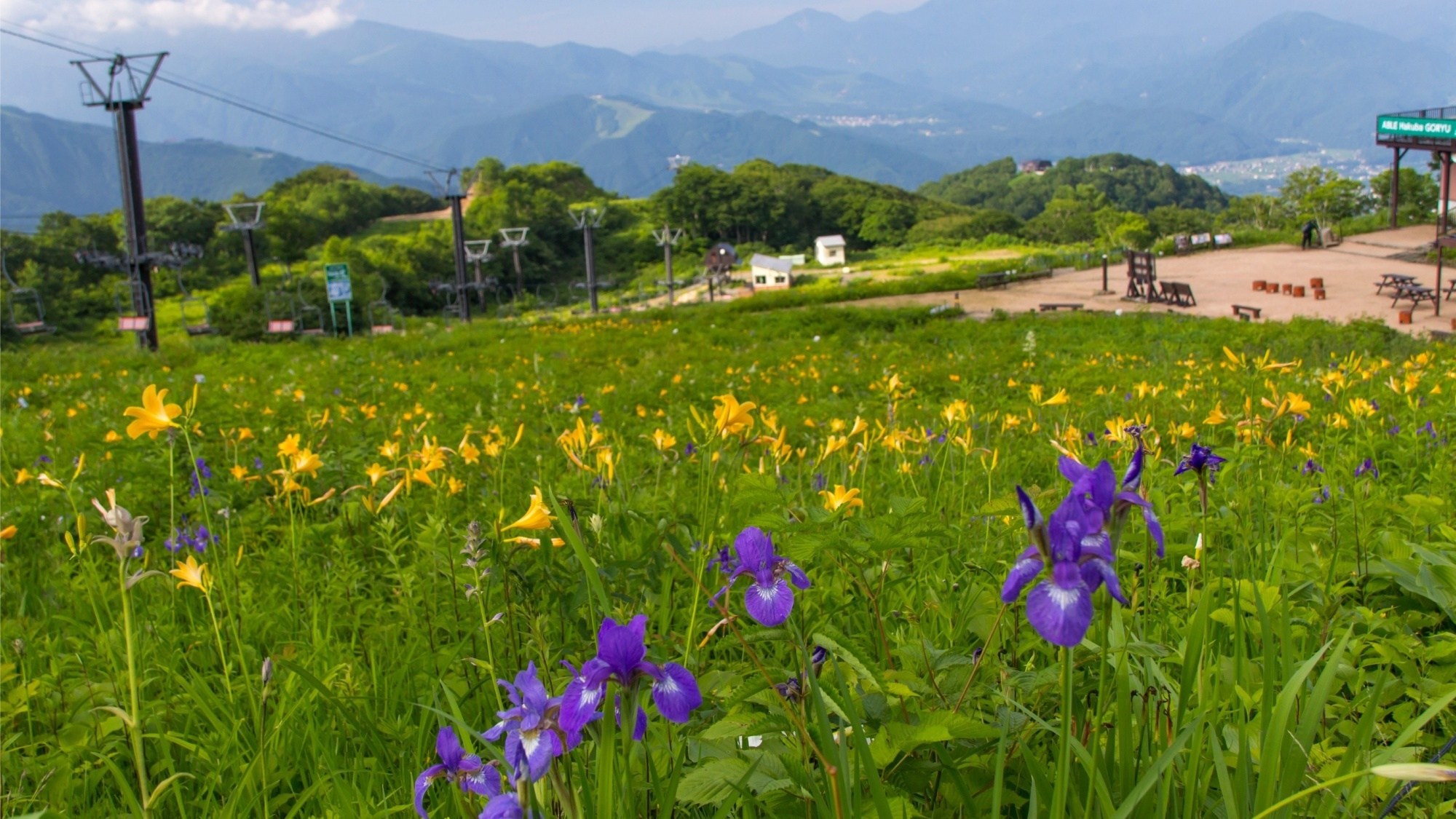 *【周辺観光】＜五竜とおみ＞日本でも有数の高山植物園でリフレッシュ！