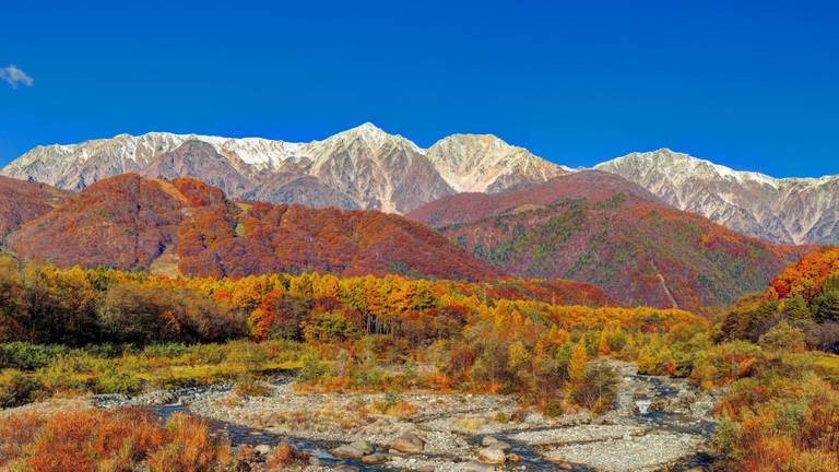 *【周辺観光・秋】白馬の三段紅葉は圧巻の光景です。ぜひご覧ください！