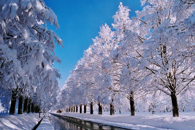 This photo about Hotel Biwako 3ze shared on HyHotel.com