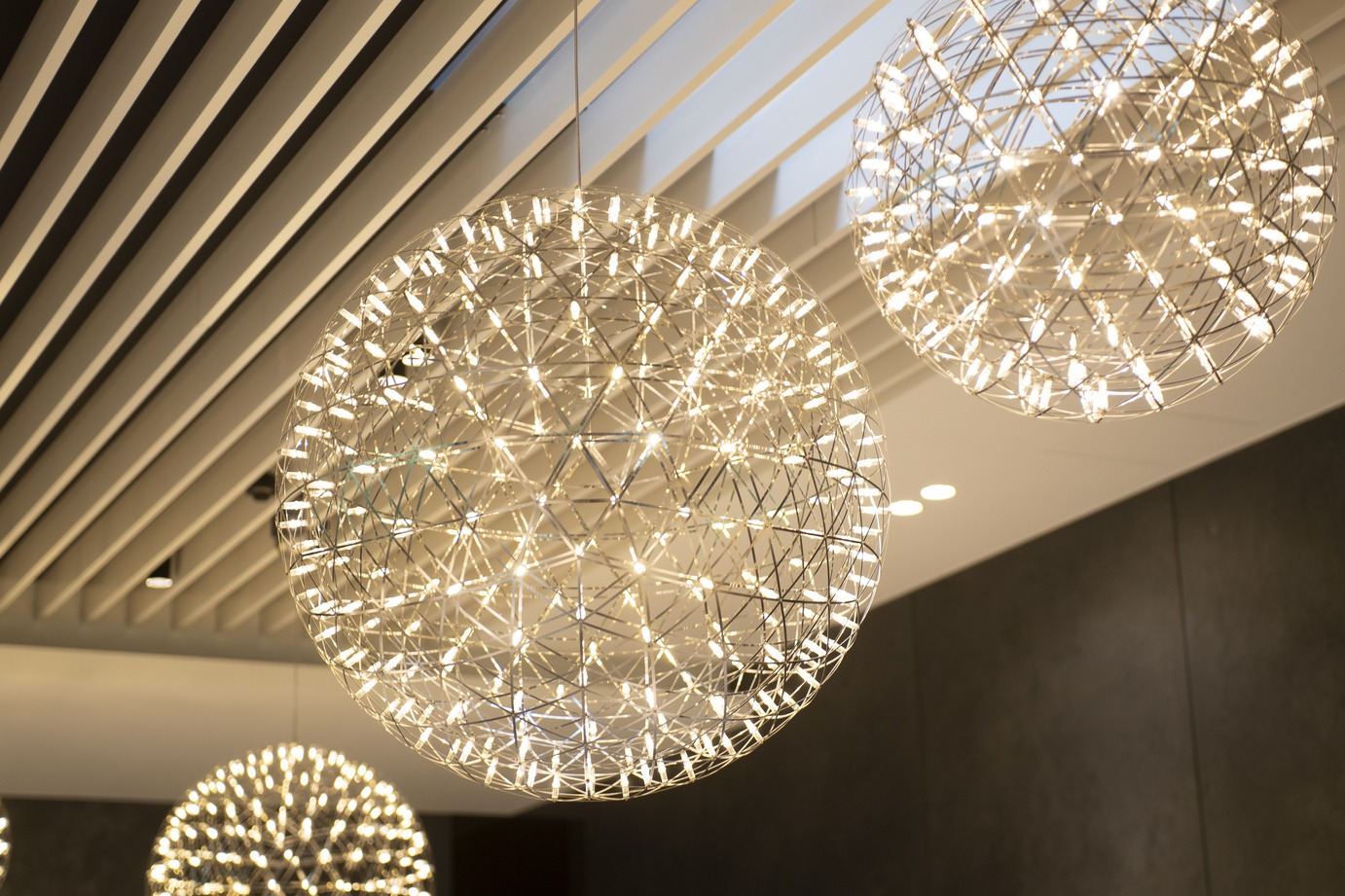 宿り木を表したペンダント照明