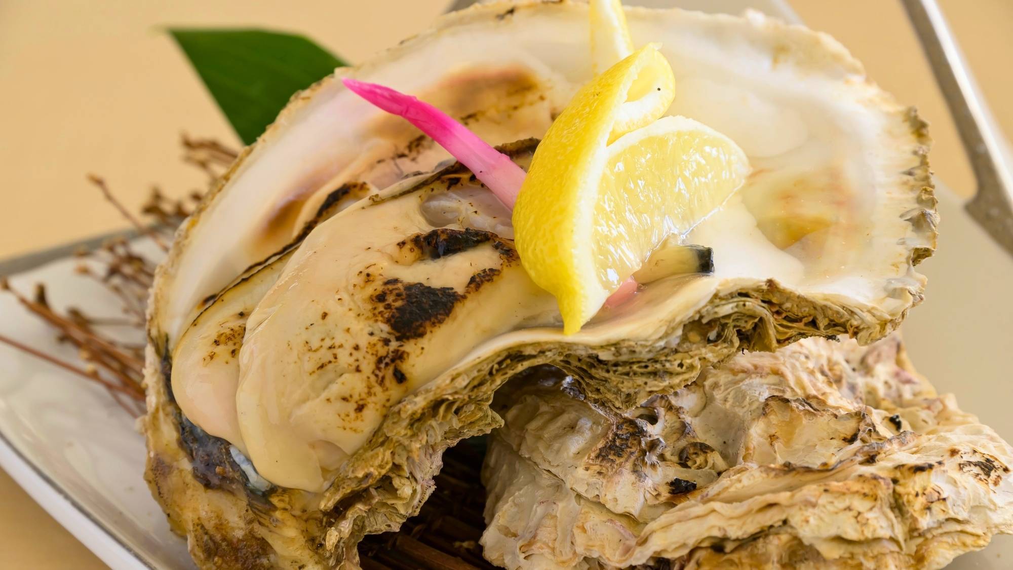 島根自慢の牡蠣は夏が一番美味しい季節。夏の特選ごちそう会席
