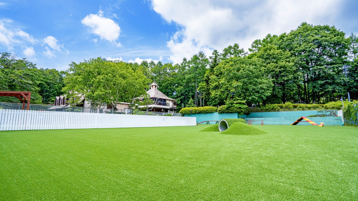 dog parkわんちゃんトンネル