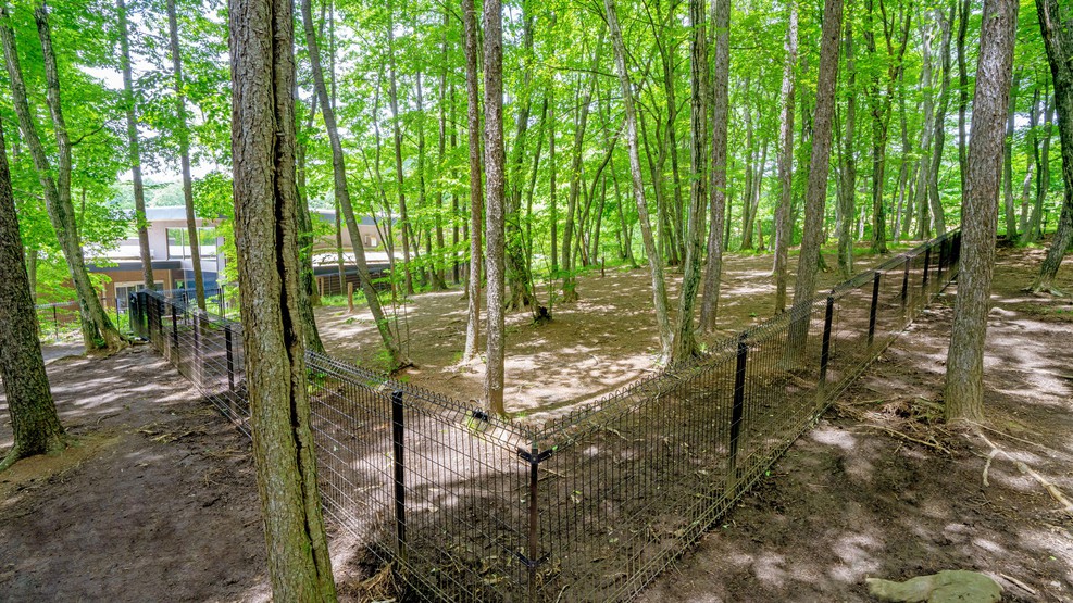 dog park 陽光の外観