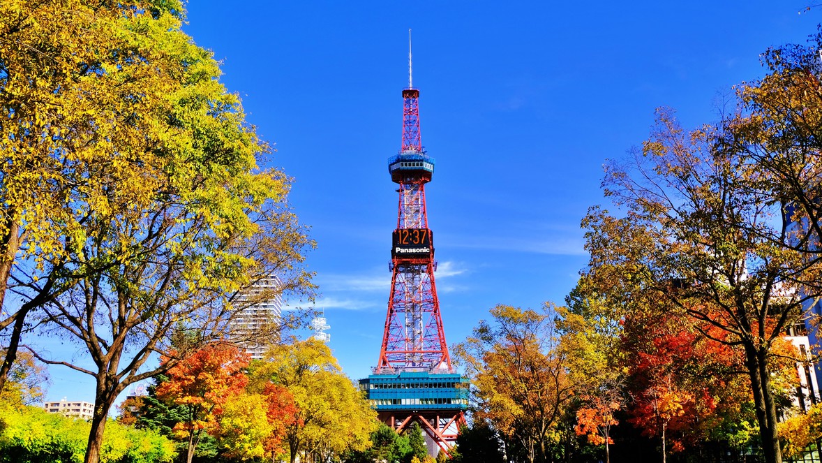 大通公園が秋一色に染まります。