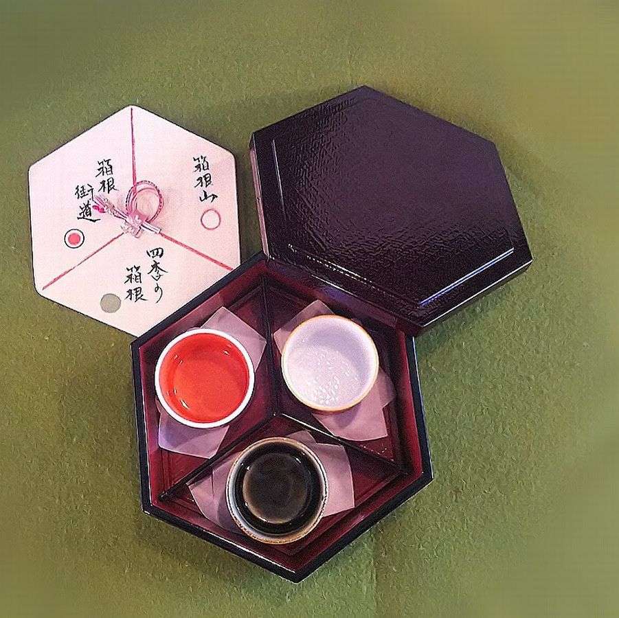 Hakone Yumoto Hot Spring Hotel Annex Yamagaso Main Image Hakone Yumoto Hot Spring Hotel Annex Yamagaso, Hakone