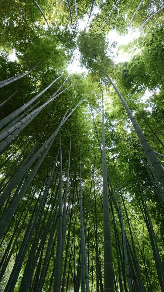 This photo about Lantern Kamakura shared on HyHotel.com