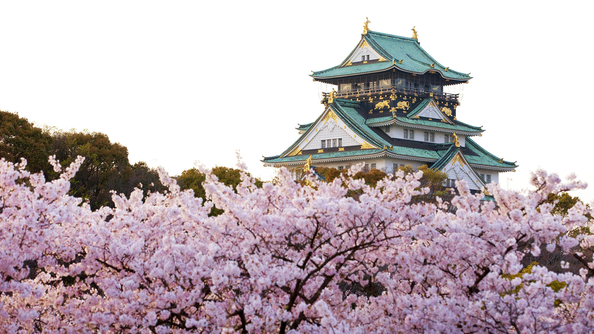 ・【大阪観光】大阪のシンボルのひとつ大阪城。現在の天守は1931年に復興されたものです