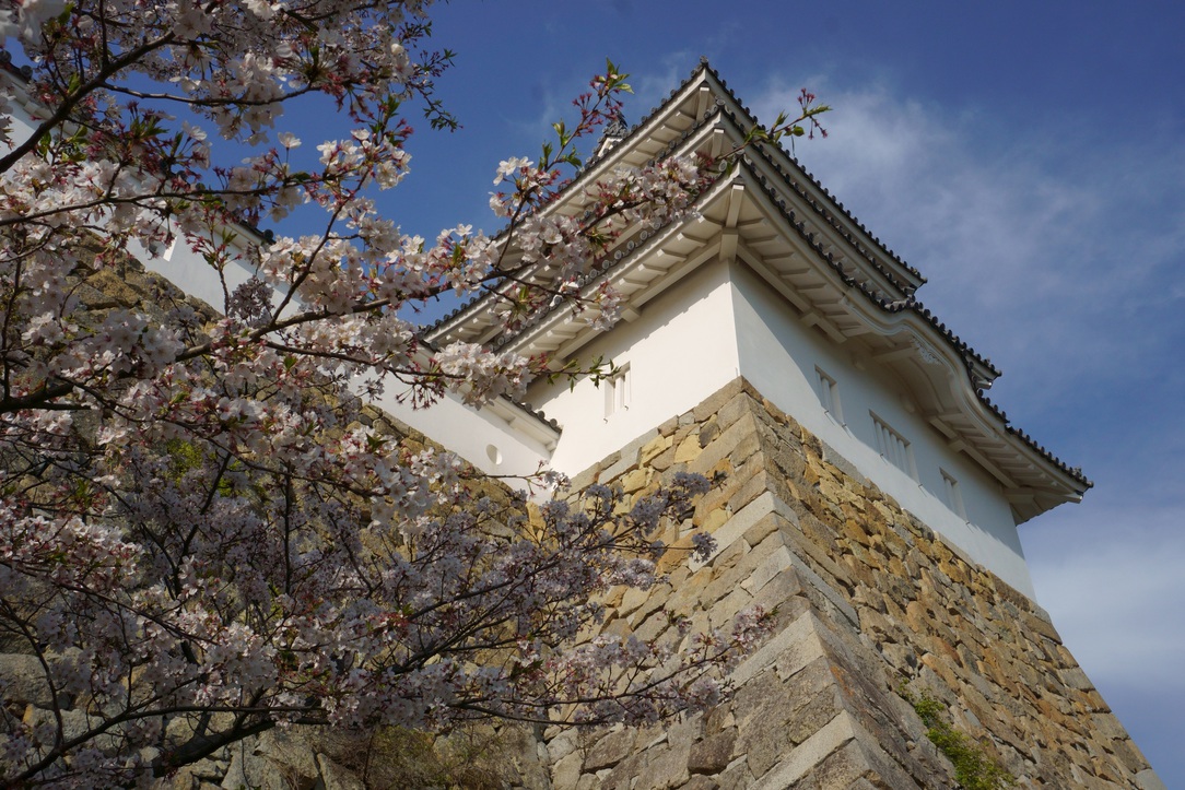 明石公園（明石城跡）