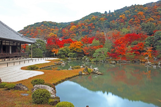 【世界遺産・天龍寺を巡る】 ＜素泊り＞「嵐山の天龍寺」参拝券付プラン