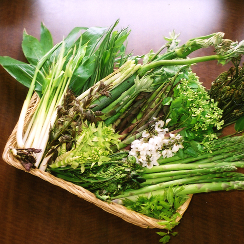 春〜初夏限定の地物山菜づくしのお料理