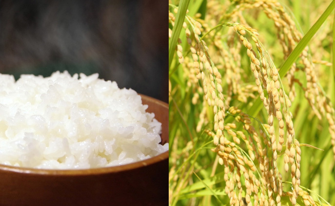 あったか朝ごはん。飛騨産こしひかり