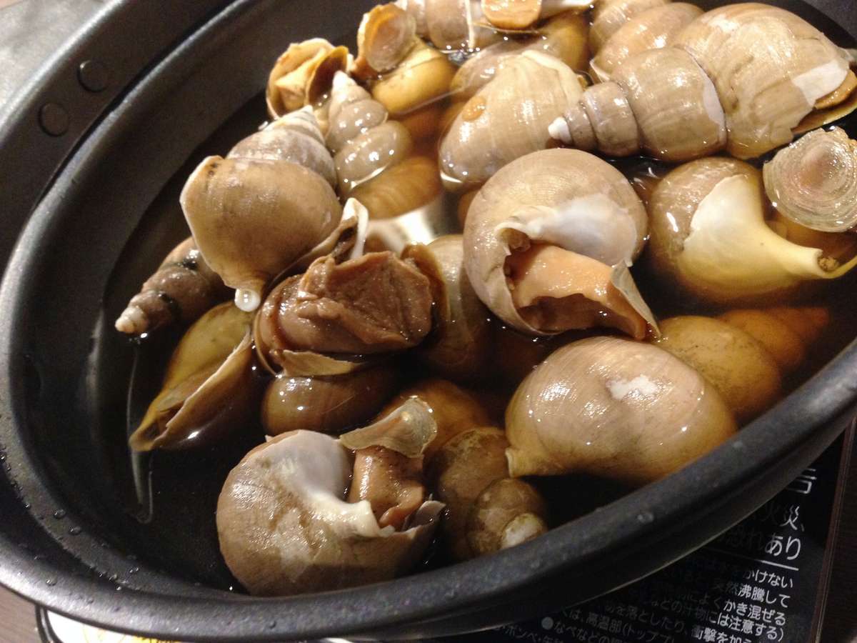 夕食時のバイ貝の磯煮。是非味わってみてください。