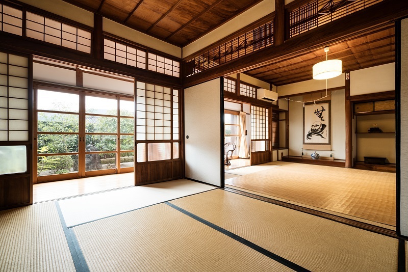 Obimurasaki Image 2, Nichinan, Japan