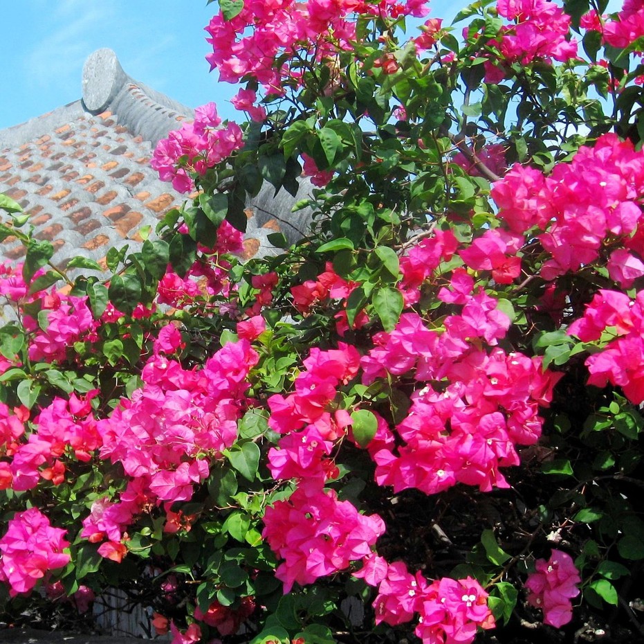 This photo about THE FEEL ONNA Villa 1  -Nagi- shared on HyHotel.com