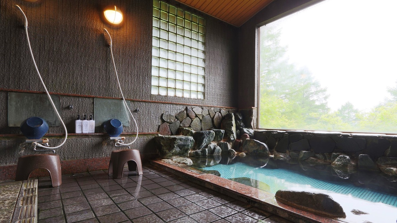 【温泉】湯量豊富、芹ケ沢温泉の岩風呂